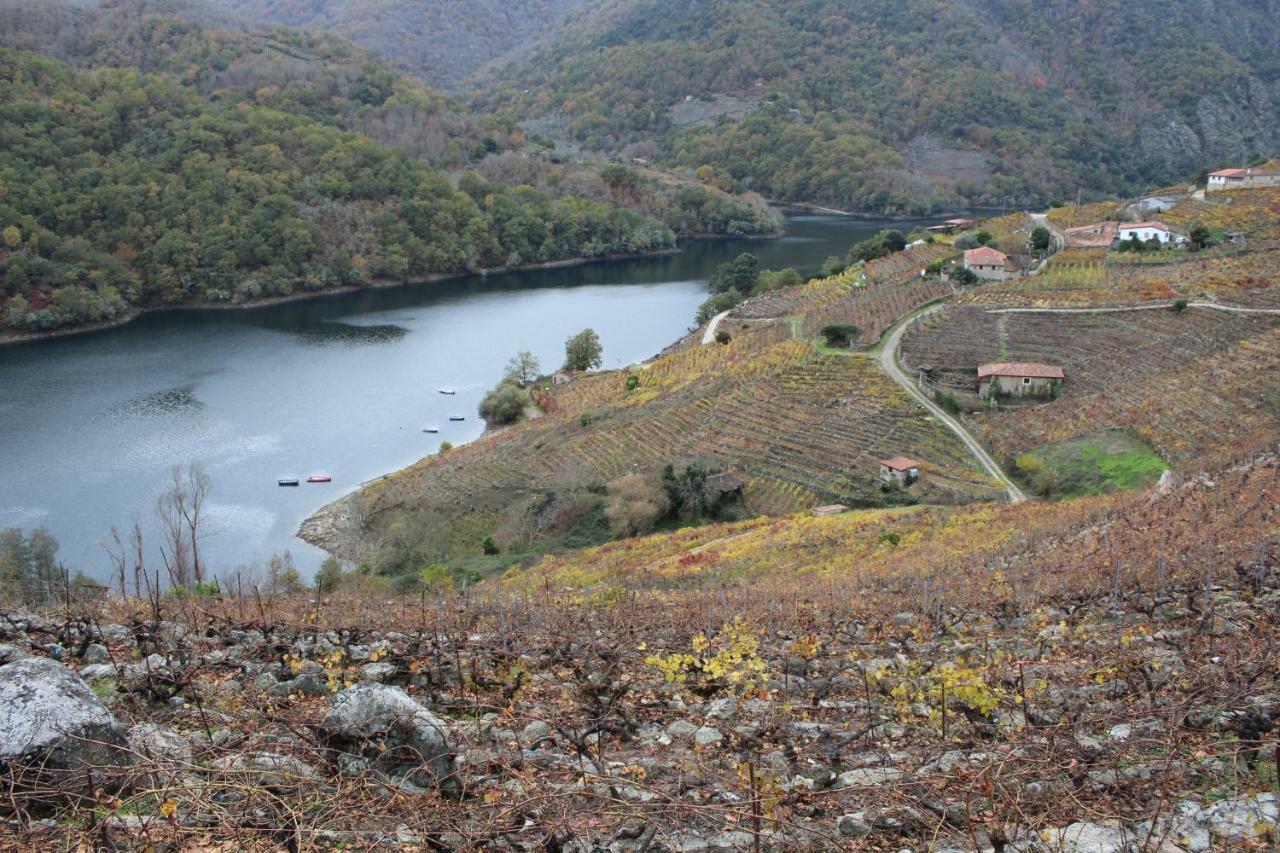 Pensjonat Casa Solveira O Pineiro Zewnętrze zdjęcie